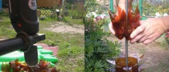 Пальма из пластиковых бутылок своими руками для вашего сада